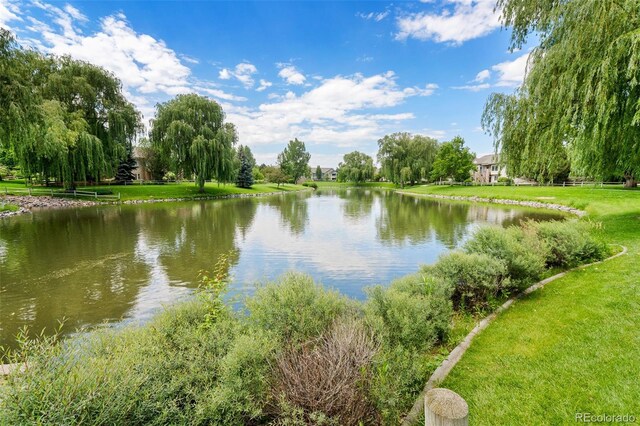 5225 White Willow Dr Unit Q120, Fort Collins, CO 80528 - photo 34