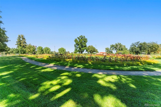 view of home's community with a yard