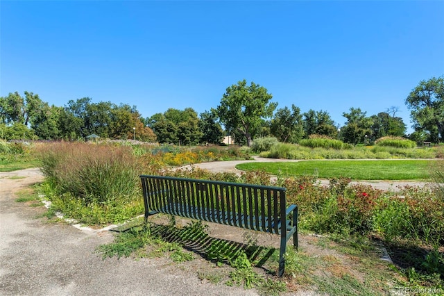view of community
