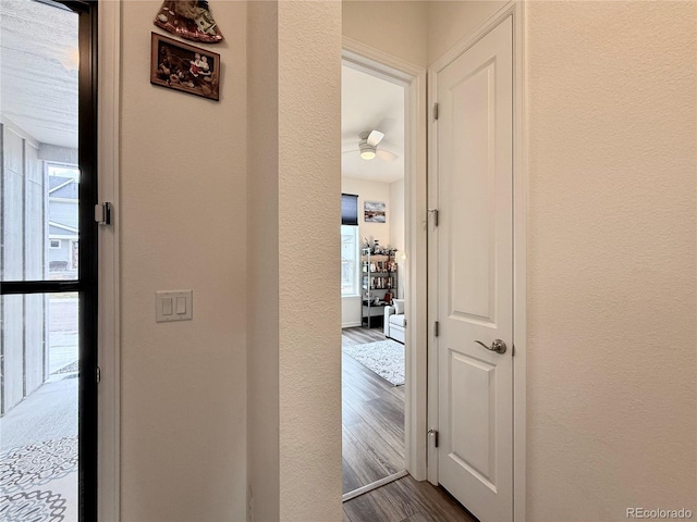 corridor with hardwood / wood-style flooring and a healthy amount of sunlight