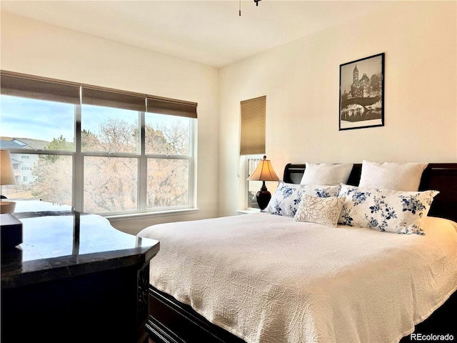 295 Kitselman Dr, Castle Rock, CO 80104 - photo 15