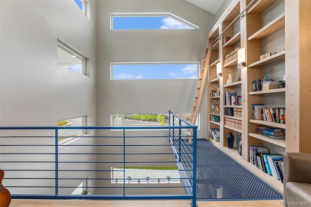 interior space with a high ceiling