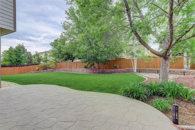 14910 Williams St, Thornton, CO 80602 - view of yard featuring a patio