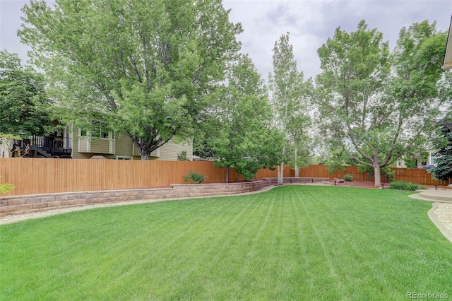 14910 Williams St, Thornton, CO 80602 - view of yard