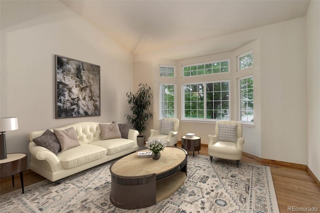 14910 Williams St, Thornton, CO 80602 - living room featuring wood finished floors and vaulted ceiling