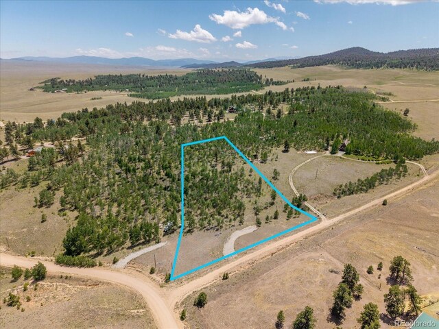 40 Brahma Ct, Hartsel, CO 80449 - photo 1