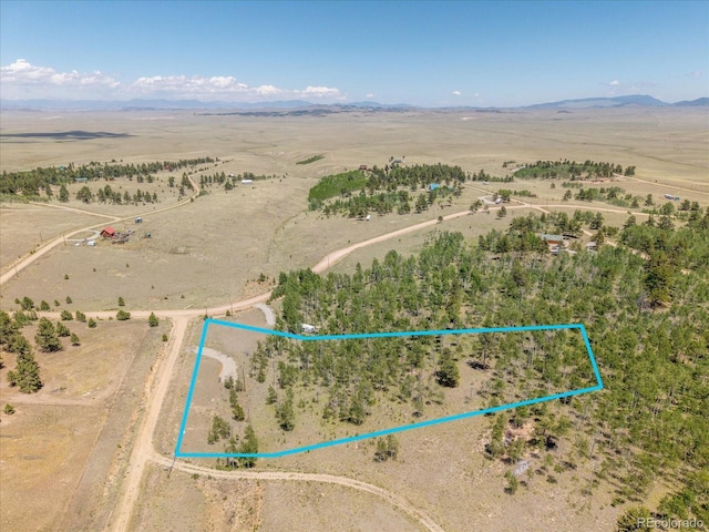 40 Brahma Ct, Hartsel, CO 80449 - photo 2