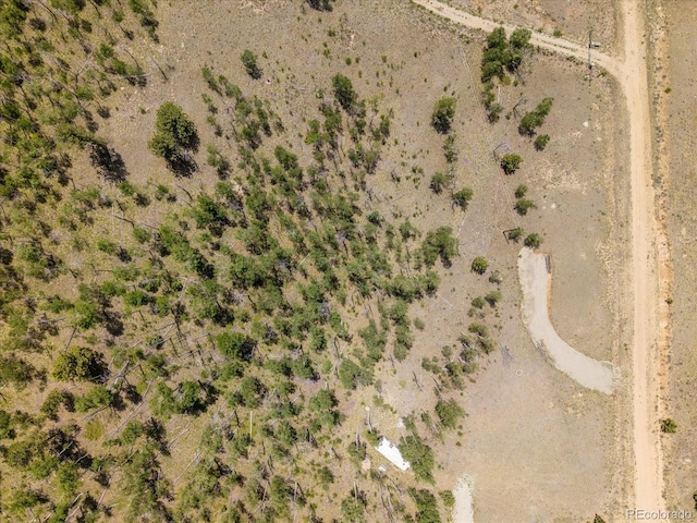 40 Brahma Ct, Hartsel, CO 80449 - photo 3