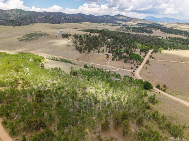 40 Brahma Ct, Hartsel, CO 80449 - photo 4