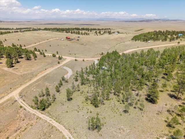 40 Brahma Ct, Hartsel, CO 80449 - photo 5
