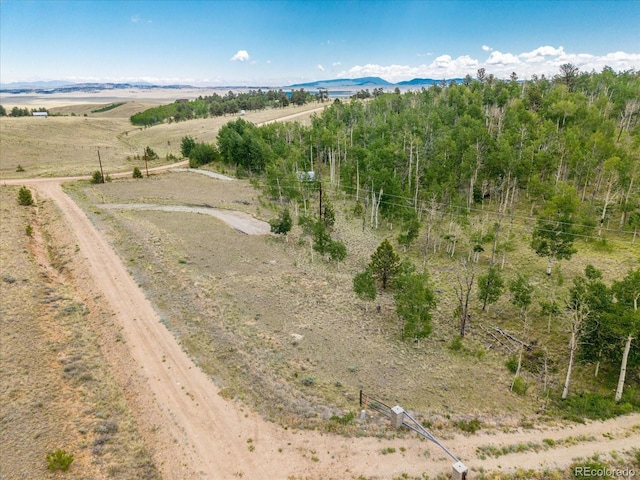 40 Brahma Ct, Hartsel, CO 80449 - photo 6