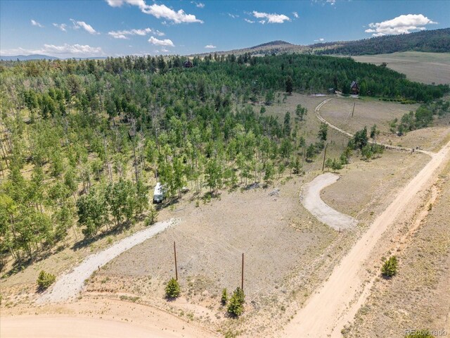 40 Brahma Ct, Hartsel, CO 80449 - photo 7