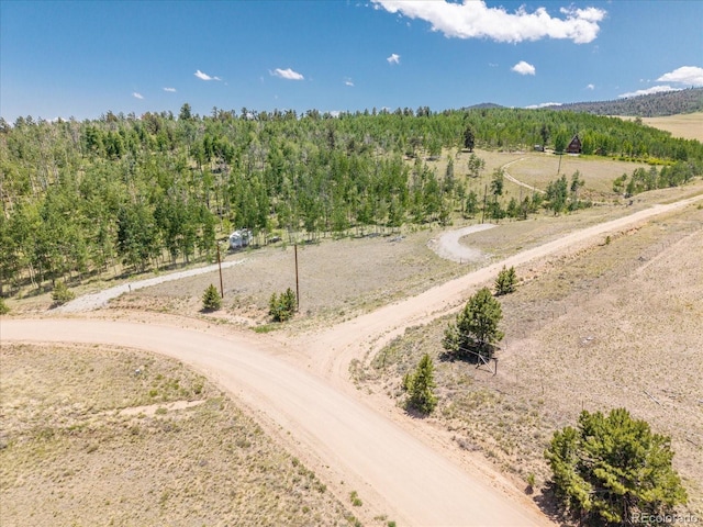 40 Brahma Ct, Hartsel, CO 80449 - photo 8