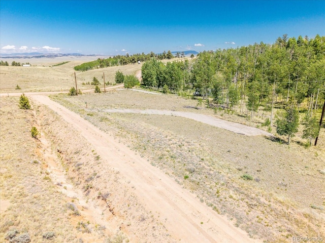 40 Brahma Ct, Hartsel, CO 80449 - photo 9