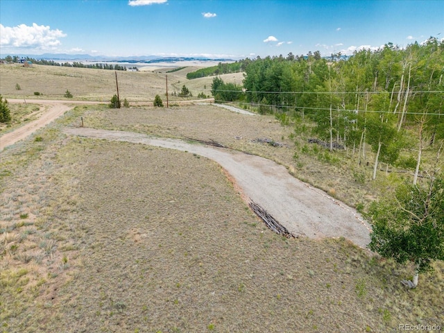 40 Brahma Ct, Hartsel, CO 80449 - photo 10