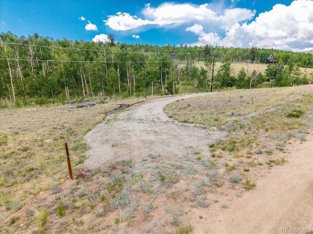 40 Brahma Ct, Hartsel, CO 80449 - photo 11