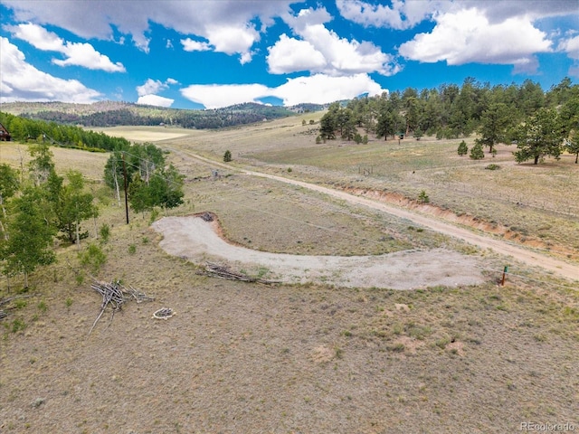 40 Brahma Ct, Hartsel, CO 80449 - photo 12