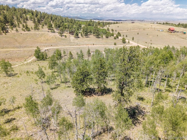 40 Brahma Ct, Hartsel, CO 80449 - photo 14