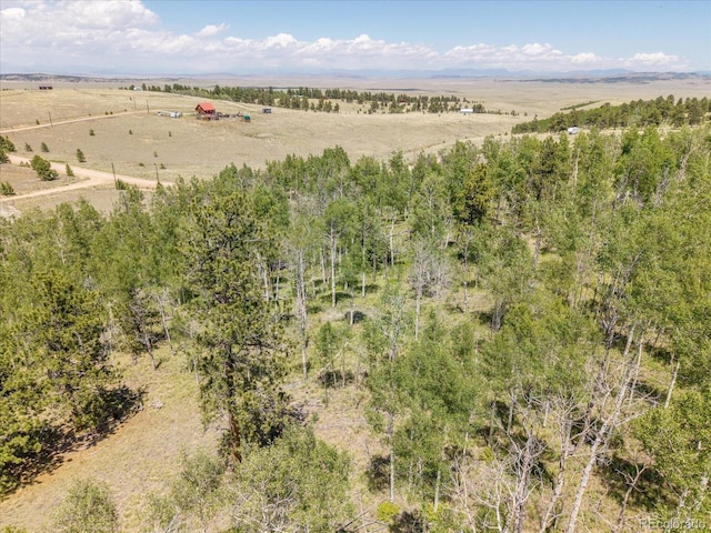 40 Brahma Ct, Hartsel, CO 80449 - photo 15