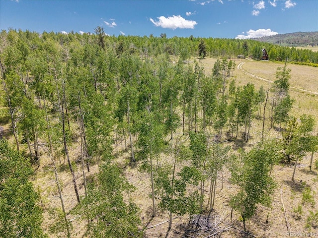40 Brahma Ct, Hartsel, CO 80449 - photo 16