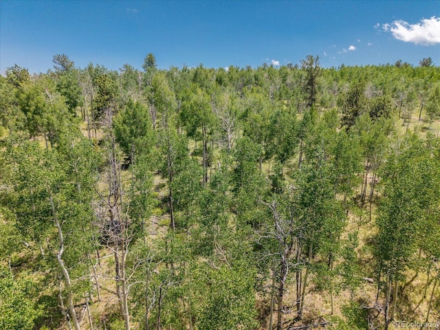 40 Brahma Ct, Hartsel, CO 80449 - photo 17