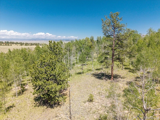 40 Brahma Ct, Hartsel, CO 80449 - photo 18