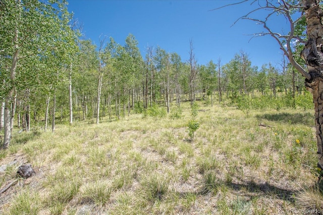 40 Brahma Ct, Hartsel, CO 80449 - photo 19