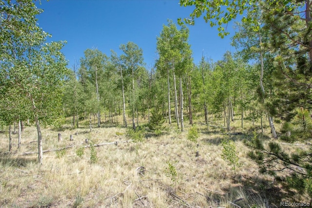 40 Brahma Ct, Hartsel, CO 80449 - photo 20