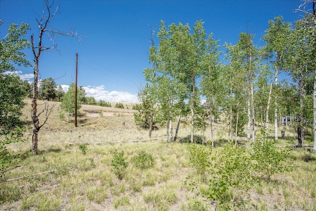 40 Brahma Ct, Hartsel, CO 80449 - photo 21