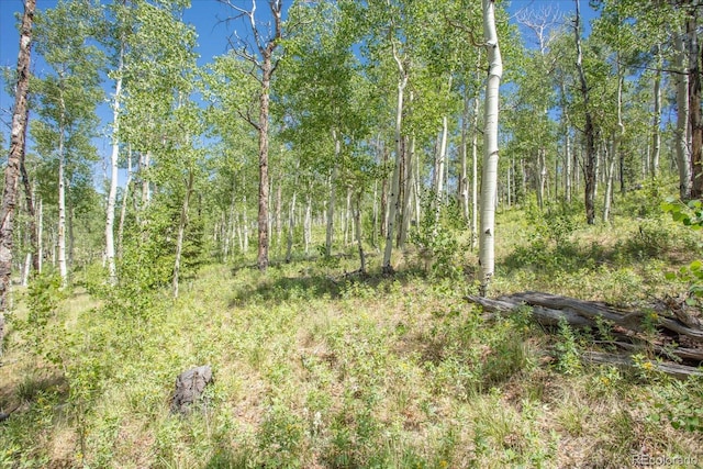 40 Brahma Ct, Hartsel, CO 80449 - photo 22