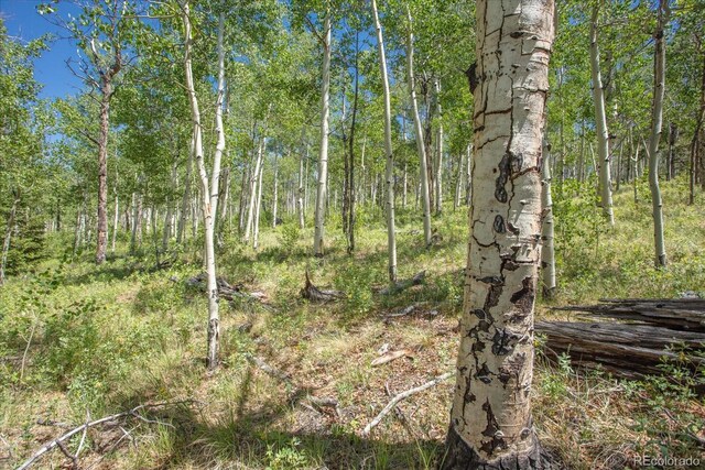 40 Brahma Ct, Hartsel, CO 80449 - photo 23