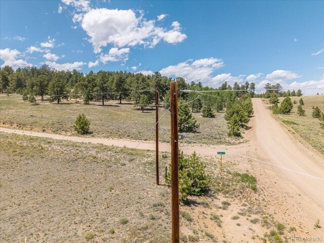 40 Brahma Ct, Hartsel, CO 80449 - photo 25