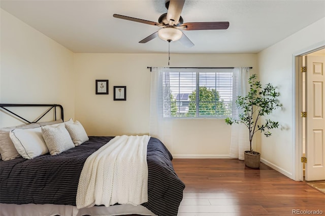 20768 Randolph Pl, Denver, CO 80249 - photo 14