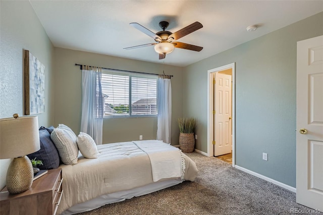 20768 Randolph Pl, Denver, CO 80249 - photo 18