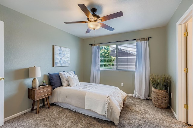 20768 Randolph Pl, Denver, CO 80249 - photo 19