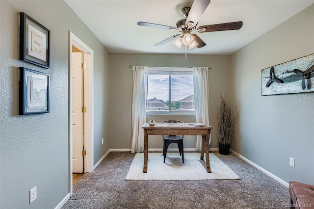 20768 Randolph Pl, Denver, CO 80249 - photo 21
