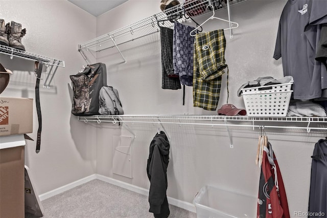 spacious closet with carpet