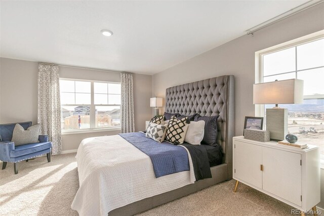 3418 Belleville Ridge Rd, Elizabeth, CO 80107 - photo 16