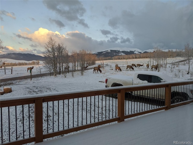 982 Georgia Dr, Jefferson, CO 80456 - photo 7