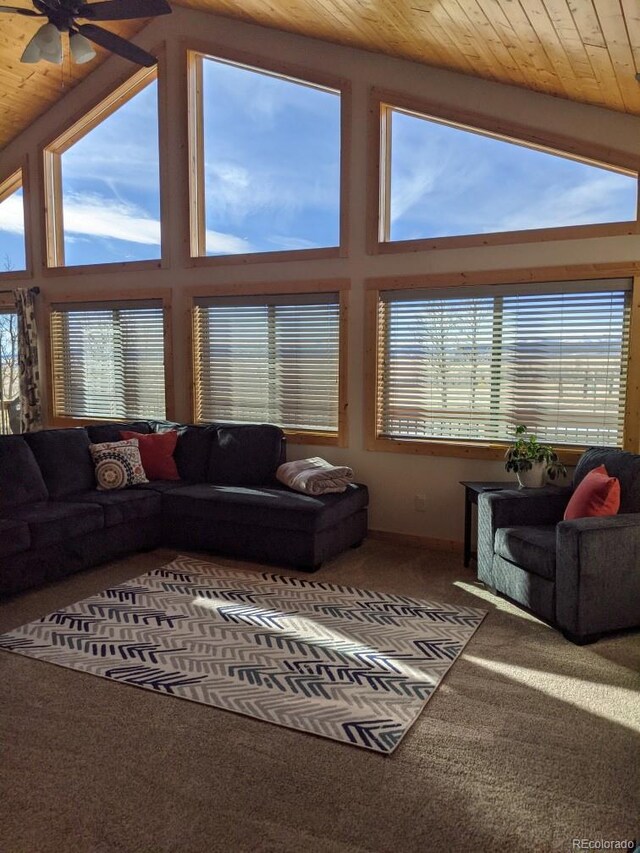 982 Georgia Dr, Jefferson, CO 80456 - photo 8