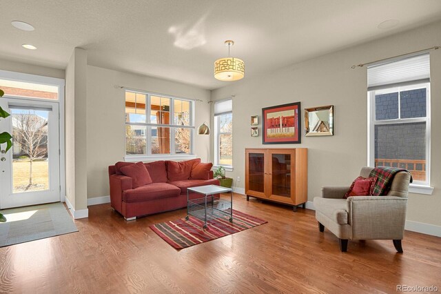 living area featuring recessed lighting, baseboards, and wood finished floors