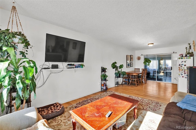 7003 Cleveland Ct, Colorado Springs, CO 80911 - living area with wood finished floors and a textured ceiling