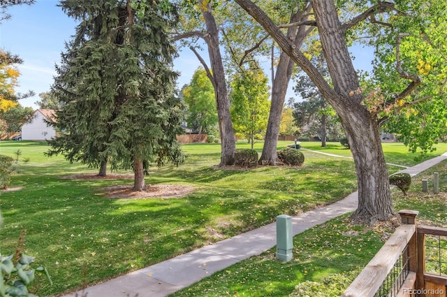 view of community featuring a lawn