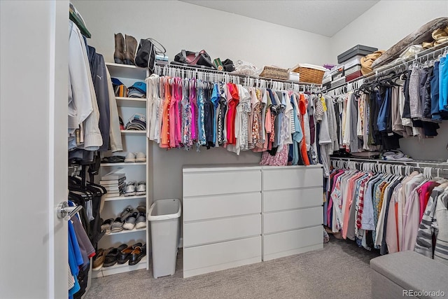 spacious closet with carpet