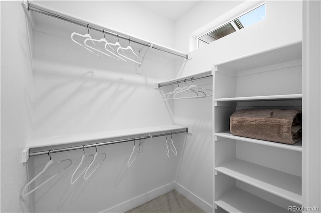 9445 W 58th Cir Unit B, Arvada, CO 80002 - walk in closet featuring carpet floors