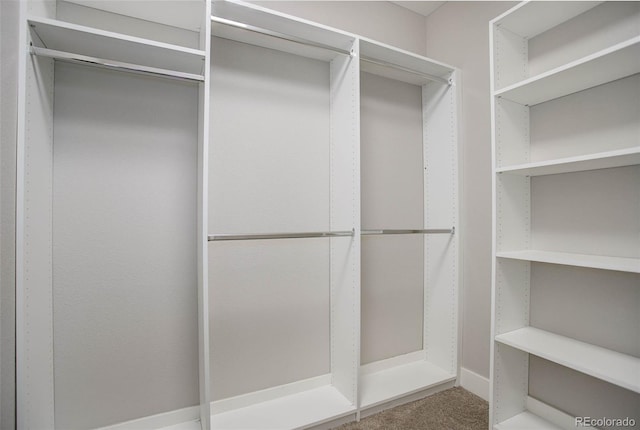 view of walk in closet