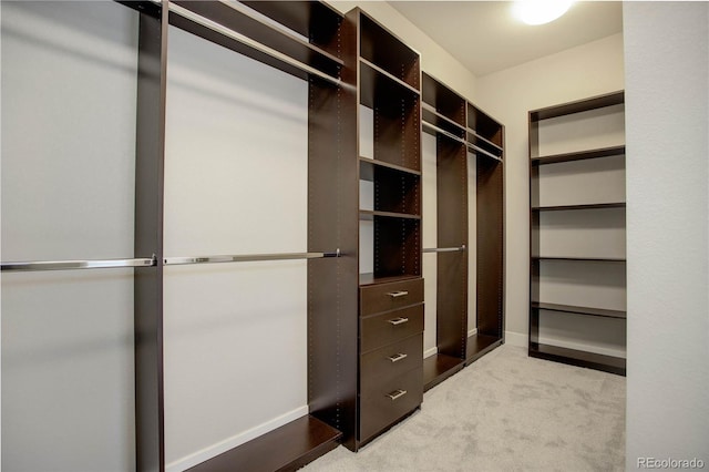 walk in closet featuring light colored carpet