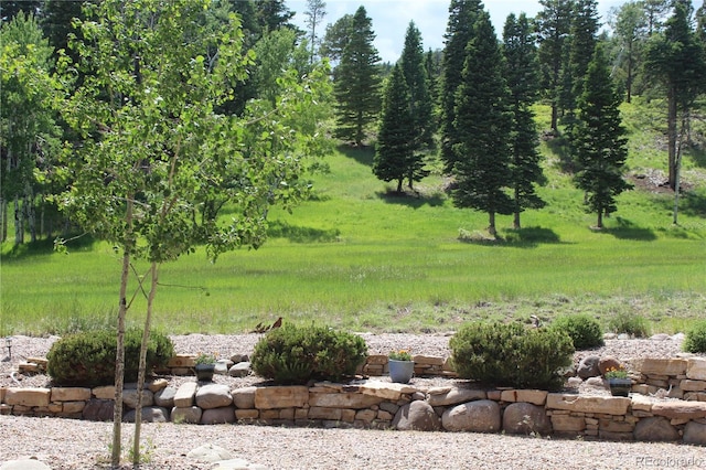 701 County Road 159, Westcliffe, CO 81252 - photo 32