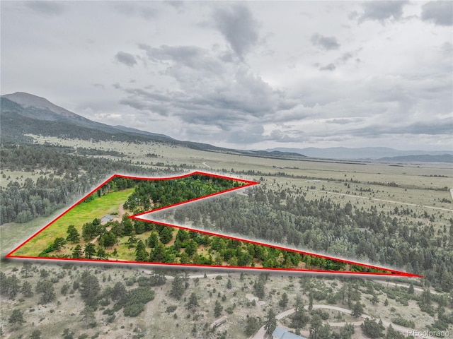 701 County Road 159, Westcliffe, CO 81252 - photo 36