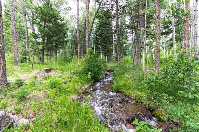 701 County Road 159, Westcliffe, CO 81252 - photo 39